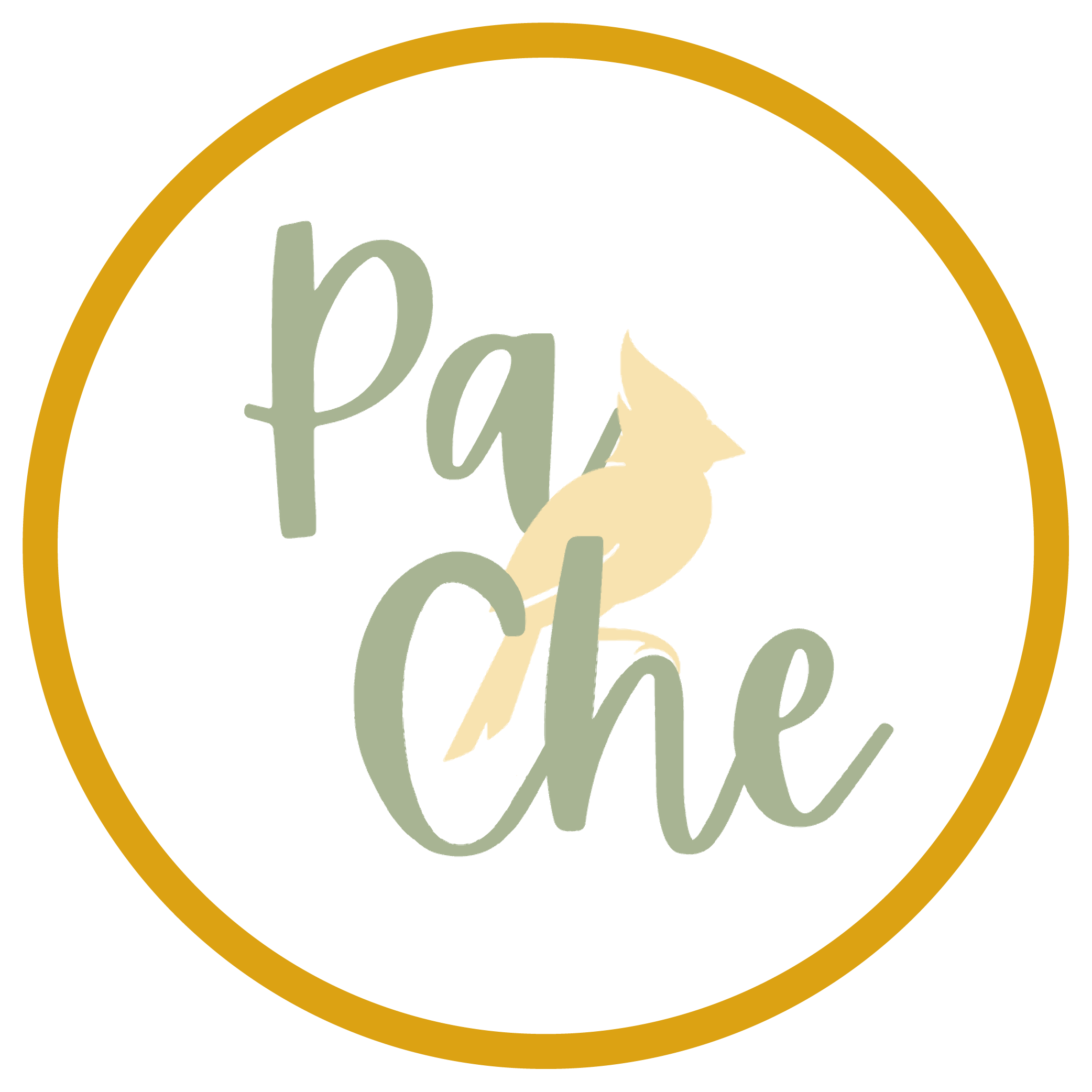 Pache